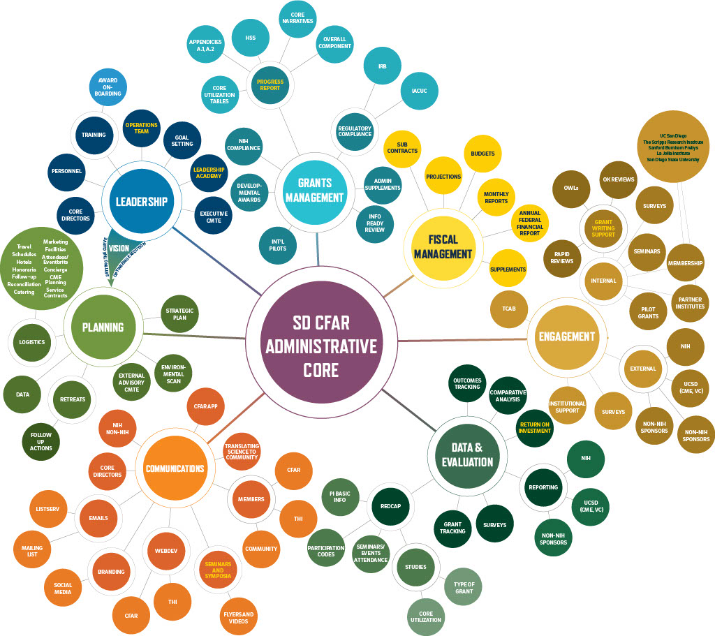 Interact Dome Image of Services offered
